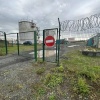 Медведь убил сторожа на территории предприятия на Камчатке