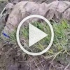❗️Выжил один из пяти
