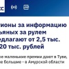В России теперь можно заработать на доносе на пьяного водителя — в регионах платят до 20 тысяч рублей за сообщение о нарушении.