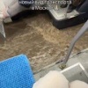 После аномального ливня в Москве появился новый вид транспорта — речной...