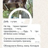 Бельчат, чью маму убило током, выхаживают в Иркутском...