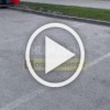 Новые кадры нашествия крыс на перекрёстке...