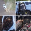 Ревнивица в Парголово пыталась заживо сжечь свою соперницу — вторая сидела в...
