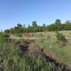 Девочка погибла при опрокидывании авто под Новосибирском