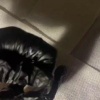 Семья набила татуху годовалому ребенку, чтобы поучаствовать в розыгрыше от...