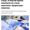 Дерево начало расти прямо в глазу у жителя Якутии — семечко попало под веко и пустило корни.