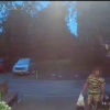 Воришки вазонов с цветами активизировались в Новосибирске