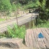 Туристы заметили ядовитых змей у детской площадки на «Столбах»