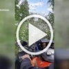 Бывший специалист опеки и попечительства и три местные жительницы признаны виновными в мошенничестве с деньгами опекаемых детей. Каждая незаконно сняла с их счетов от 2 млн до 9 млн рублей. 