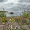 Несанкционированные места купания выявляют с помощью беспилотников в Иркутской области