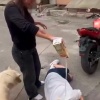 Многодетную мать соседи жёстко избили до сотрясения из-за парковочного места...