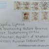Американка написала письмо хакасской отшельнице Агафье Лыковой В заповедник...