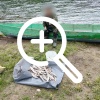 «Наперекор запрету»: в Курагинском районе полицейскими пресечена нелегальная добыча рыбы двумя мужчинами
