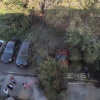 Дерево упало на машины во дворе Чапаева, 17. Повреждения получили три авто,...