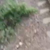 ❗️19 вагонов сошли с рельсов в Приморье