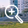 Лоси пришли к храму на Долгоозерной дважды за ночь