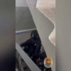Дивногорский боксёр запер обидчика в бане и угрожал ему пистолетом. 24-летний...