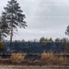 Минусинские дачники взыскали с администрации района 600 тысяч за пожар