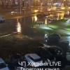 Чьи дети просто сидят в луже, по шею и садяться перед каждой машиной??!!...