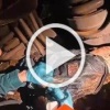 Пожарные спасли мужчину, упавшего под поезд в Домодедове