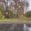 Участок в Нижней Лисихе не подходит под новую школу. Так заявил подрядчик....