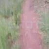 «Это Родина моя! Всех люблю на свете я!»: бойцы ВС РФ эвакуировали раннего товарища, читая ему стихи из «Брата»
