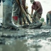 Почти 7 тысяч мигрантов прибыли в Новосибирскую область за неделю