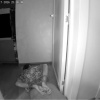 В Новосибирске сын связал отца-пиромана, чтобы спасти дом от сожжения
