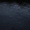 Труп полураздетого мужчины выловили за Троицким мостом в Петербурге