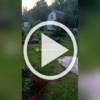 В Свердловской области на дачи стали выходить погулять...