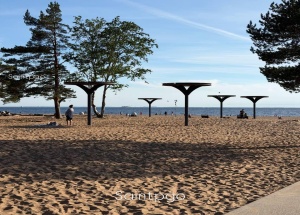 Уже в ближайшие дни вода в Финском заливе прогреется до +20 °C. По прогнозу...