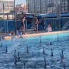 Дети устроили купание в фонтане на западе Москвы.