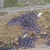В Екатеринбурге обнаружен огромный склад сломанных электросамокатов компании...