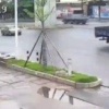 В Китае женщина на велосипеде попала в слепую зону грузовика. Ужасная смерть...
