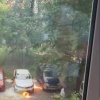 На Ленской подростки подожгли тополиный пух прямо у припаркованных...