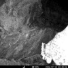 Кадрами снежного барса делится Саяно-Шушенский заповедник. На этот раз ирбис...