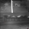 Медведь замечен в Минусинске