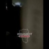 В Кемерове возле детсада «Золотой ключик» стая собак терроризирует жителей – Бастрыкин поручил возбудить дело