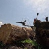 Операторы FPV-дронов 3-й мотострелковой дивизии группировки 