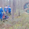 Пропавшую в лесу под Шлиссельбургом женщину нашли погибшей