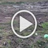 Озеро превратили в свалку мусора. Служба государственного...