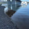 Мазутную плёнку заметили около Николаевского моста на Енисее. Пятна...