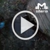 Вода топит дом в Киселёвске: жители винят водоканал