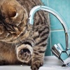 В Екатеринбурге начнется отключение горячей воды на ЖБИ и в Березовском