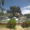 В Сан-Диего золотистый ретривер по кличке Нэш трижды приносил игрушку грабителю, который пробрался в дом, и предлагал ему поиграть