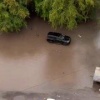 Утки плавают по затопленным парковкам Красноярска