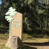 В Петербурге восстанавливают лес в заказнике «Озеро Щучье» В петербургском...