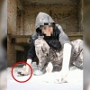 Полиция начала проверки из-за жестокого контента с животными В Искитиме...