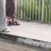 В парке Интернационалистов заметили редкого питомца на прогулке. 🇷🇺 Источник:...