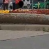 В Южно-Сахалинске мигрант справил нужду на городскую клумбу, несмотря на...